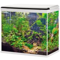 Аквариум 058 LED+top Filtr 50л белый/BARBUS