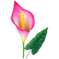 Стикер садовый Калла Ремани 108841