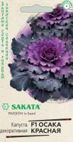 Капуста декоративная Осака красная 6шт Капуста декоративная Осака красная 6шт