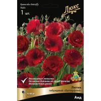 Лютик гибридный Батерфляй Аид /К 839677