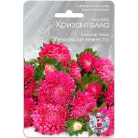 Астра Хризантелла Сбежавшая невеста 30шт Астра Хризантелла Сбежавшая невеста 30шт