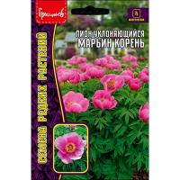 Редкие растения Пион Марьин Корень уклоняющийся 5 шт 