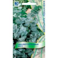 Эвкалипт серебряный Бинго 5 шт