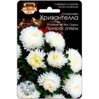 Астра Хризантелла Призрак оперы 30шт Астра Хризантелла Призрак оперы 30шт