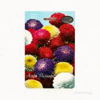 Астра смесь Помпонная Палитра 20*1,5  Астра смесь Помпонная Палитра 20*1,5