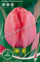 Тюльпан Дарвинов гибрид Дизайн Импрешн (11/12) 10 шт