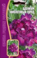 Адениум Фиолетовый Город 3 шт Адениум Фиолетовый Город 3 шт