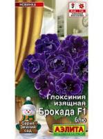 Комн. Глоксиния Брокада блю 5шт 