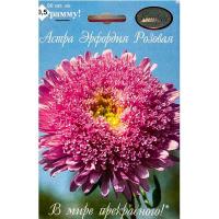 Астра Эрфордия Розовая 20*0,5  Астра Эрфордия Розовая 20*0,5