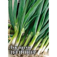 Гавриш Фермерская Лук батун Легионер 10г 