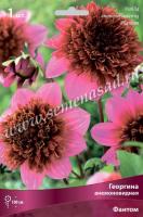 Георгина анемоновидная Фантом (I) 1 шт
