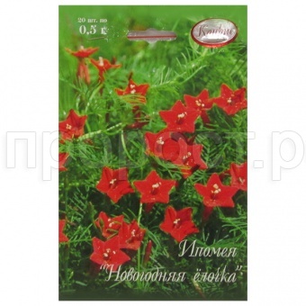 Ипомея Новогодняя елочка 20*0,5  Ипомея Новогодняя елочка 20*0,5