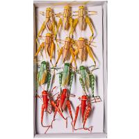 Стикер Кузнечик 6см А0772 /12шт/