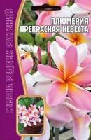 Плюмерия Прекрасная Невеста 3 шт Плюмерия Прекрасная Невеста 3 шт