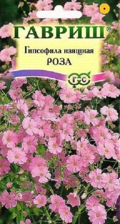 Гипсофила изящная Роза 0,1 г  Гипсофила изящная Роза 0,1 г