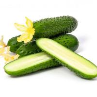 Огурец Киборг F1 20 шт Огурец Киборг F1 20 шт