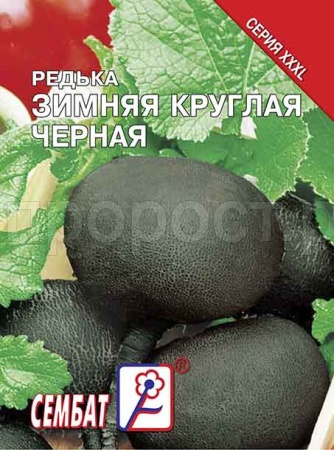 Редька Зимняя круглая черная 10г XXXL Редька Зимняя круглая черная 10г XXXL