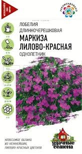 Лобелия Маркиза лилово-красная, ампельная 0,01г Лобелия Маркиза лилово-красная, ампельная 0,01г
