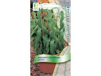 Комн. Эвкалипт лимонный Цитрус 5 шт  Комн. Эвкалипт лимонный Цитрус 5 шт