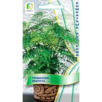 Поиск Комн. Гревиллея робуста 5шт 