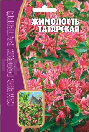 Жимолость Татарская 15 шт Жимолость Татарская 15 шт
