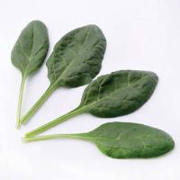 Шпинат Матадор 25 г