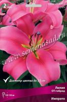 Лилия ОТ-Гибрид Импрато (14/16) 2шт