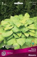 Хоста гибридная Мохито (I) 1шт 