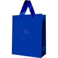 Пакет подарочный 18*23*10см "Классика. Синий" ламинированный MESHU/MS_52119/Рельеф Пакет подарочный 18*23*10см "Классика. Синий" ламинированный MESHU/MS_52119/Рельеф