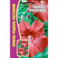 Гибискус Мускусный 5 шт