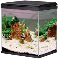Аквариум 057 LED+top Filtr 35л черный/BARBUS