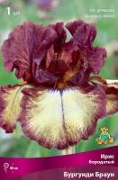 Ирис бородатый Бургунди Браун (I) 1 шт 