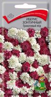 Иберис зонтичный Гранатовый лед 0,1г Иберис зонтичный Гранатовый лед 0,1г
