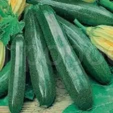 Кабачок Ажур Вороной F1 1г Кабачок Ажур Вороной F1 1г