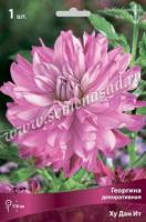 Георгина декоративная Ху Дан Ит (I) 1 шт