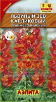 Львиный зев карликовый оранжево-красный