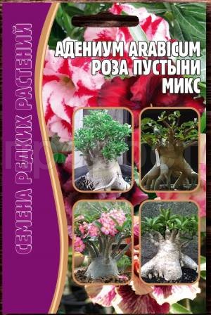 Адениум Роза Пустыни микс 3 шт Адениум Роза Пустыни микс 3 шт