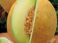 Дыня Южанка 25 г