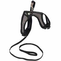 Шлейка с поводком для кошек сетка цветная регулируемаяДарэлл-АЭРО №6  обхват груди 27-32см/035806 Шлейка с поводком для кошек сетка цветная регулируемаяДарэлл-АЭРО №6  обхват груди 27-32см/035806