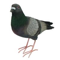 Голубь L21W9H21см 626482/F541