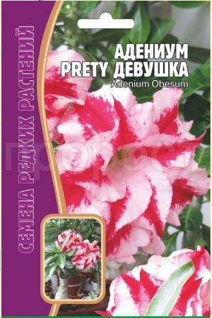 Адениум Прелестная Девушка 3 шт Адениум Прелестная Девушка 3 шт