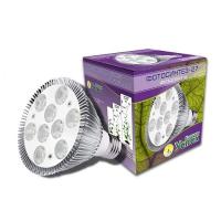 Фитолампа ФОТОСИНТЕЗ-27 д/растений 9Вт Е27 1шт Фитолампа ФОТОСИНТЕЗ-27 д/растений 9Вт Е27 1шт