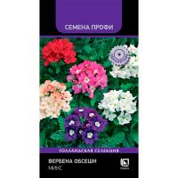 Вербена Обсешн Микс 10шт 