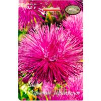 Астра Искушение чернильная 20*1