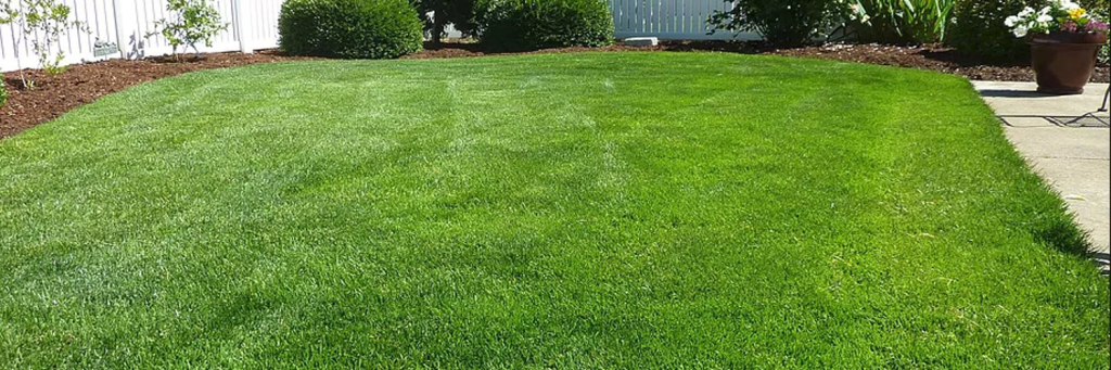 выбор-участка.png выбор-участка.png