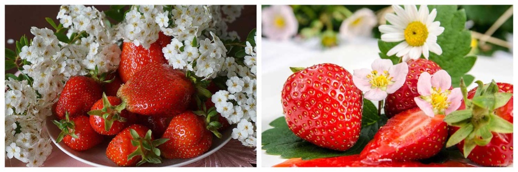 урожай-клубники).jpg урожай-клубники).jpg