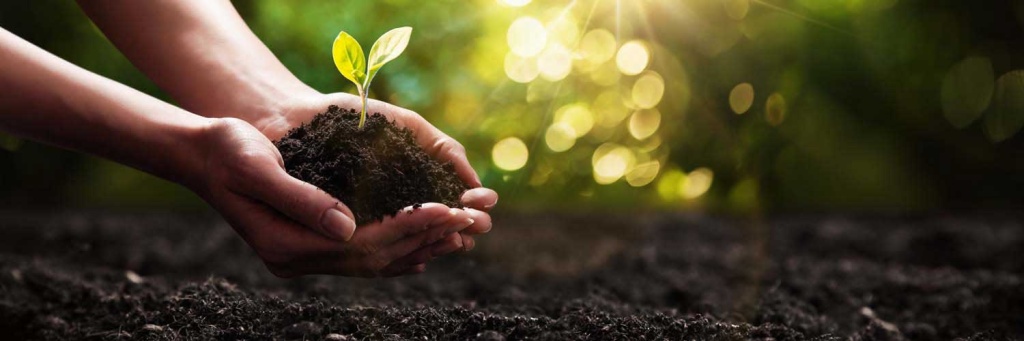 посадка.jpg посадка.jpg