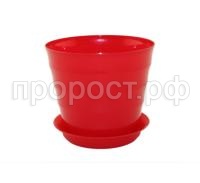 лаура с под (5) лаура с под (5)