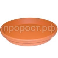 поддон большой