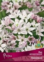 luk_decor_hameleon_kaper